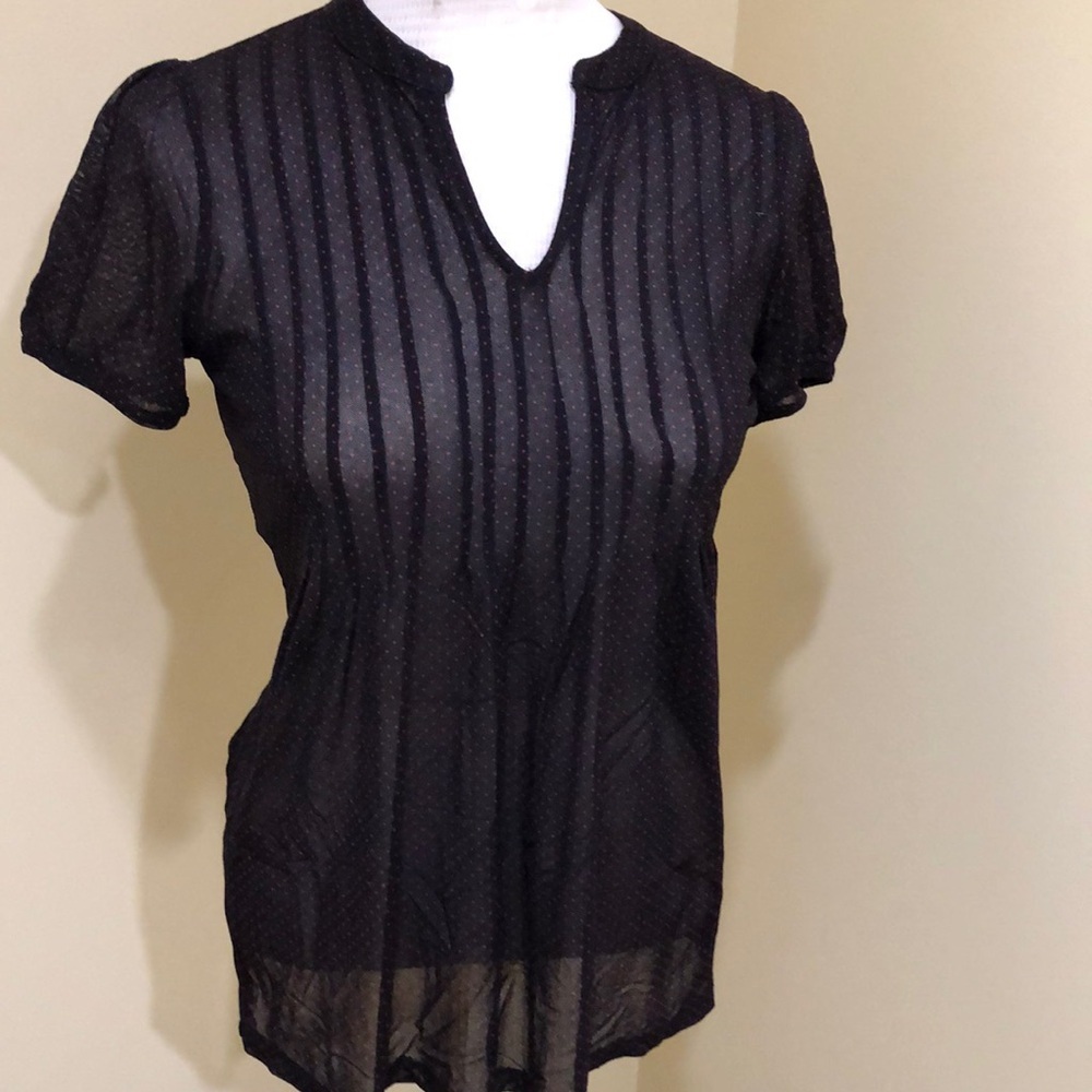 The Limited Black Sheer Dotted Short Sleeve Blouse